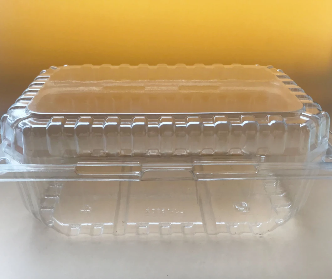 Transparent 500ml/75ml/1000ml Plastic Blister PET Food Tray Clamshell Packaging Supermarket